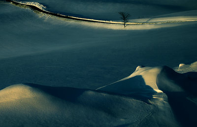 Landscape, Western Zealand