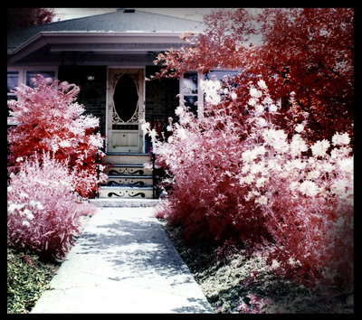 House. (IR)