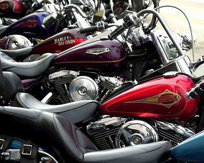 The Harley Lineup