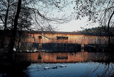 Covered Bridge with (ever present) Ducks