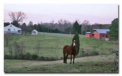 Outstanding in His Field