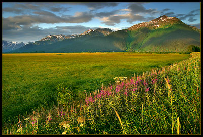 Twenty Mile River Valley