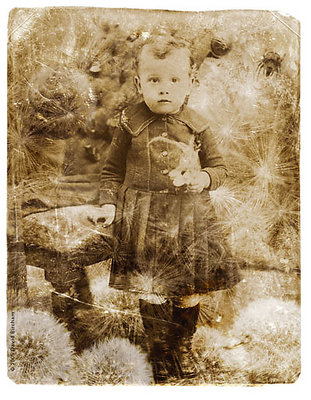 Dandelion