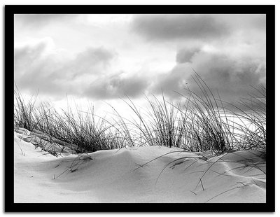 Snowy dunes