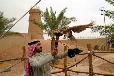 Falconry