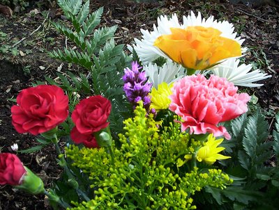 for you mother