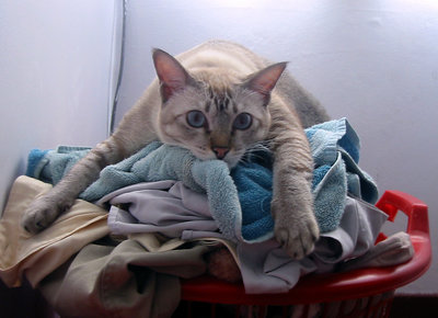 Mmm...i love the smell of clean laundry...