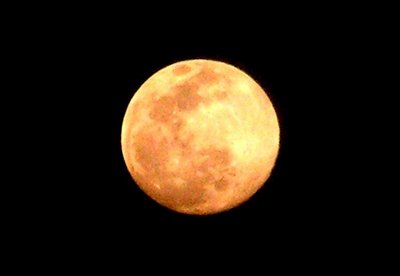 Moon Over Bourbon Street