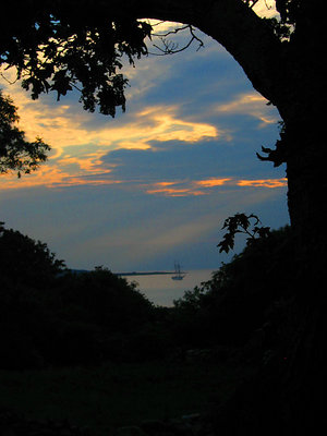More Martha's Vineyard