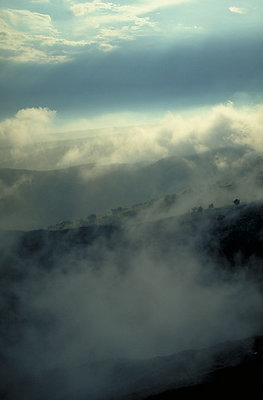 clouds from the ground