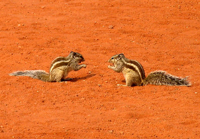 friendly chat on orange carpet