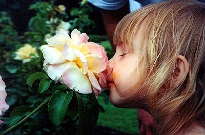 Stop and Smell the Roses