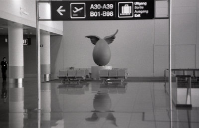 Airport egg