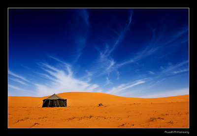 Desert In The Morning