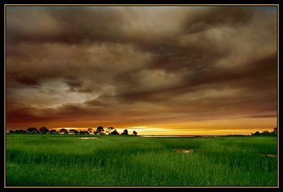 Sunset Grass_