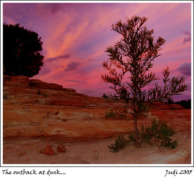 The outback at dusk...