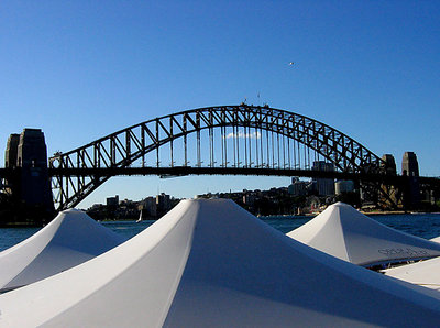 the bridge