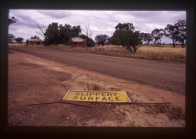 SLIPPERY SURFACE - Campbell's Forest