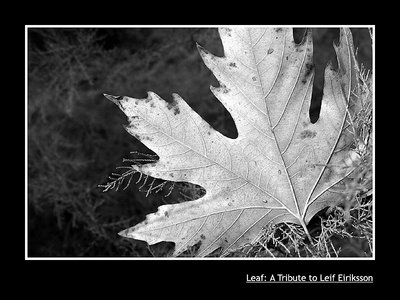 Leaf: A Tribute to Leif Eiriksson
