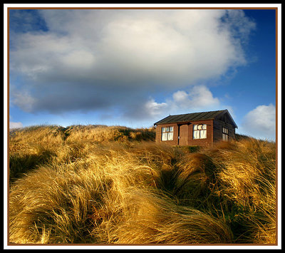 Lonely Cabin - 2
