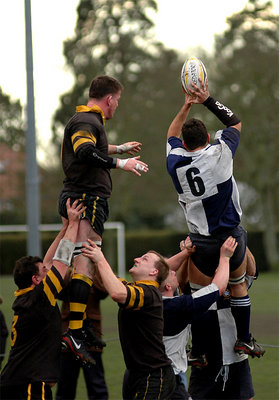 Lineout