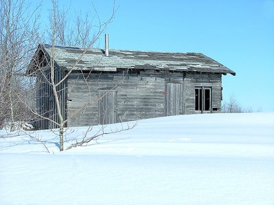 Snowy Shed