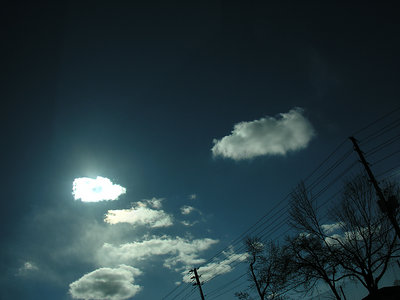 Day or Night?