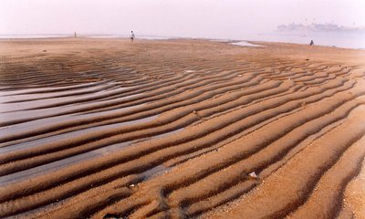 beach waves