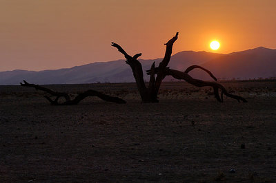 Namib