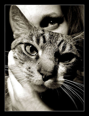 Two friends