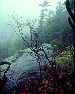 Foggy heights over Devil's Lake