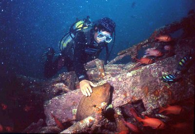 please don't feed the morays