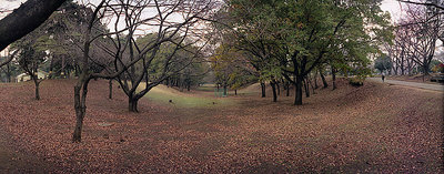 Hyde Park Panorama