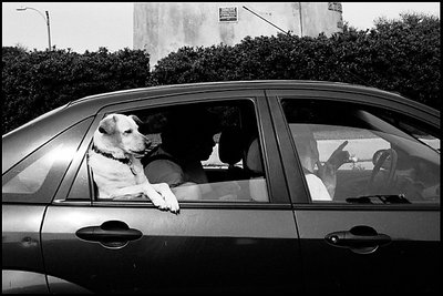 Back seat ride.