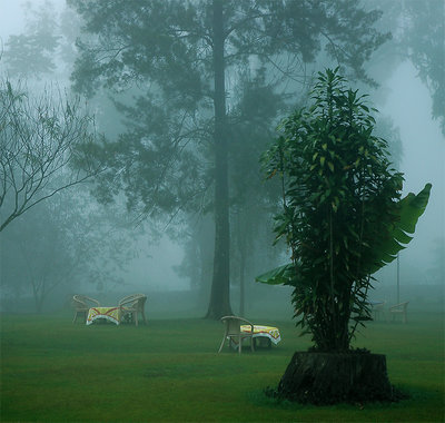 Morning mist