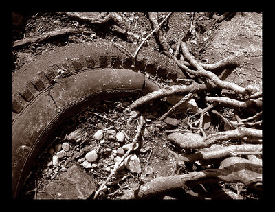 tyre
