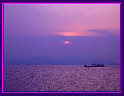 journey to a dream of purple.....