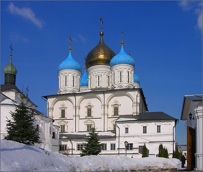 Novospasskiy monastery (7)