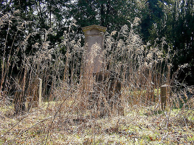 grasses and grave