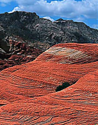 Snow Canyon, Utah