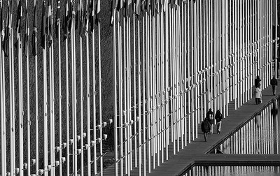 Walking Under Flags