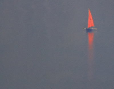 To row or not to row?