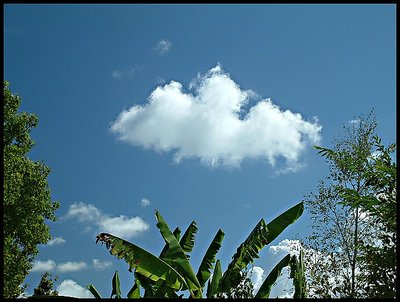 Cloud going bananas