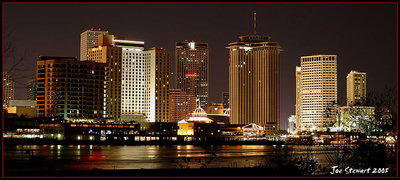 New Orleans Through The Trees