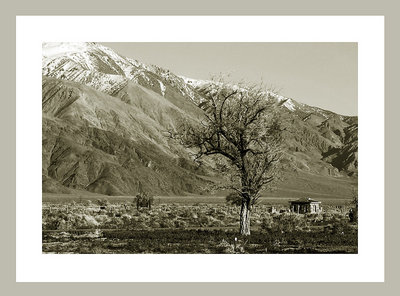 Manzanar