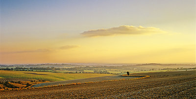 From Cheesefoot Head