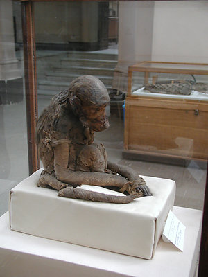 Old ..very old Monkey....Cairo Museum