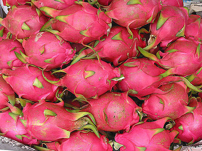 Dragon Fruit ??