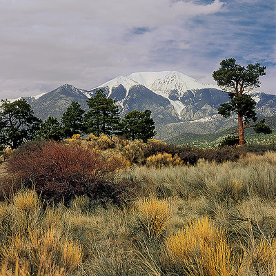 A Colorado Scene