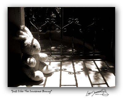 Just Like The Lonesome Bunny